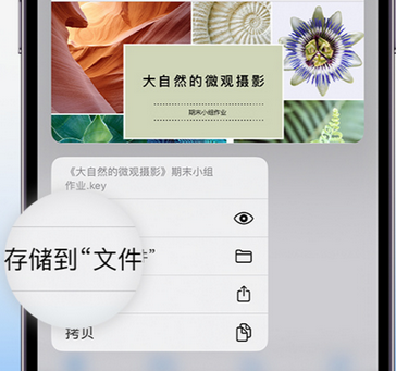 福绵apple维修中心分享iPhone文件应用中存储和找到下载文件