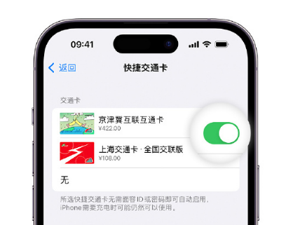 福绵apple维修点分享iPhone上更换Apple Pay快捷交通卡手绘卡面 