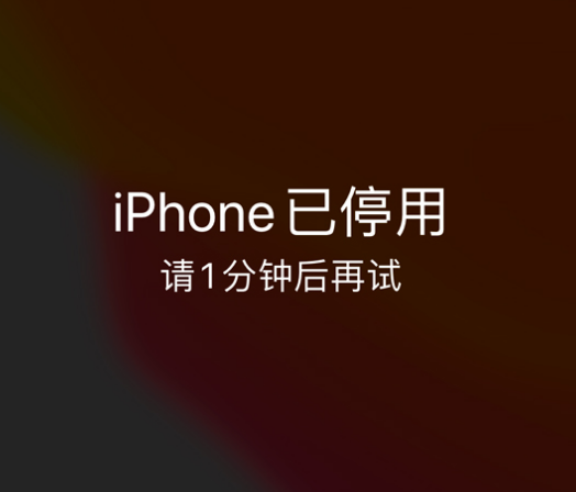 福绵苹果手机维修分享:iPhone 显示“不可用”或“已停用”怎么办？还能保留数据吗？ 