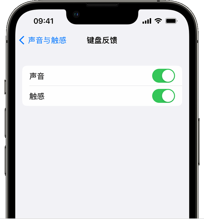 福绵苹果14维修店分享如何在 iPhone 14 机型中使用触感键盘 