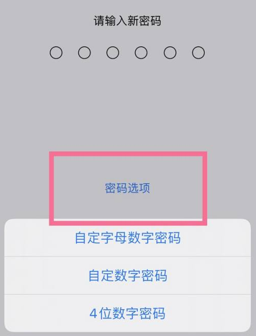 福绵苹果14维修分享iPhone 14plus设置密码的方法 