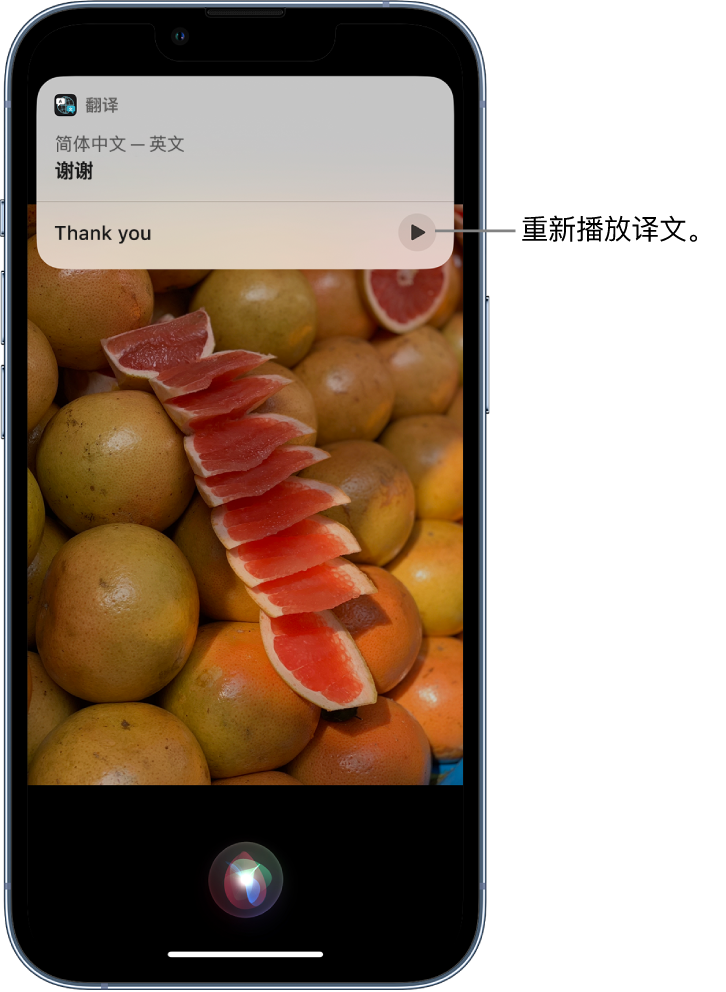 福绵苹果14维修分享 iPhone 14 机型中使用 Siri：了解 Siri 能帮你做什么 