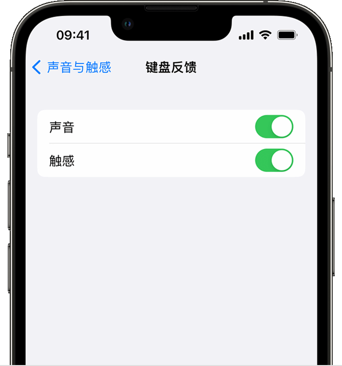 福绵苹果14维修分享iPhone 14 系列机型如何开启键盘声音或触感反馈 