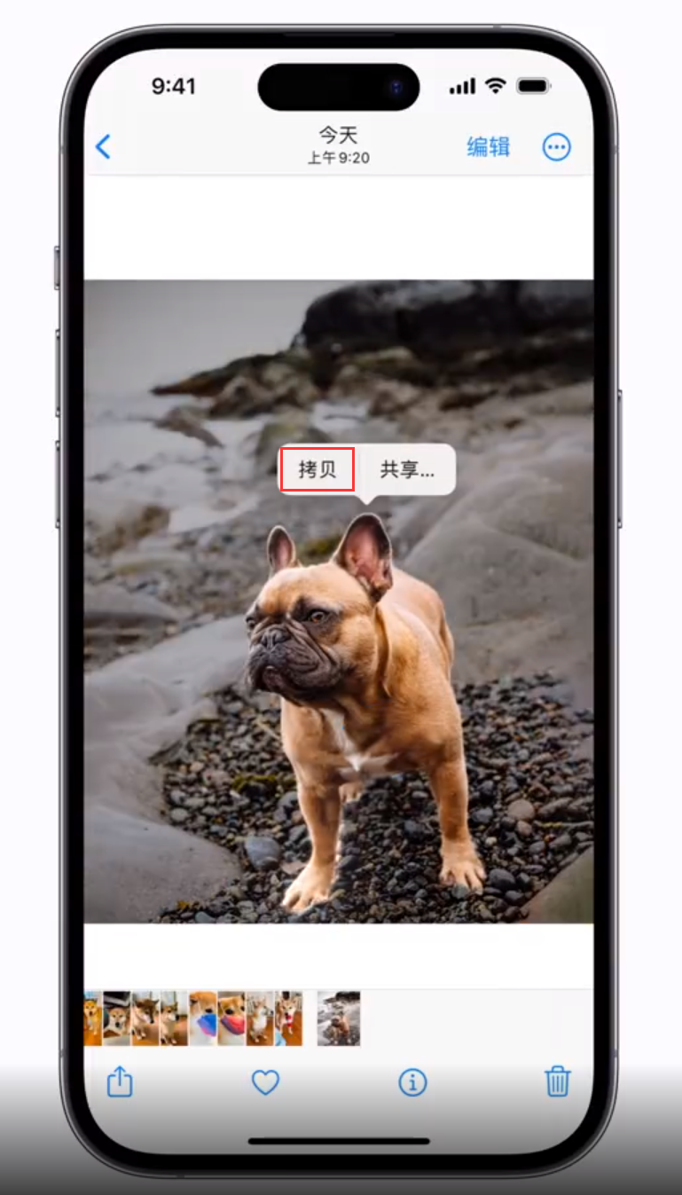 福绵苹果手机维修分享 iOS 16 自带一键抠图功能 