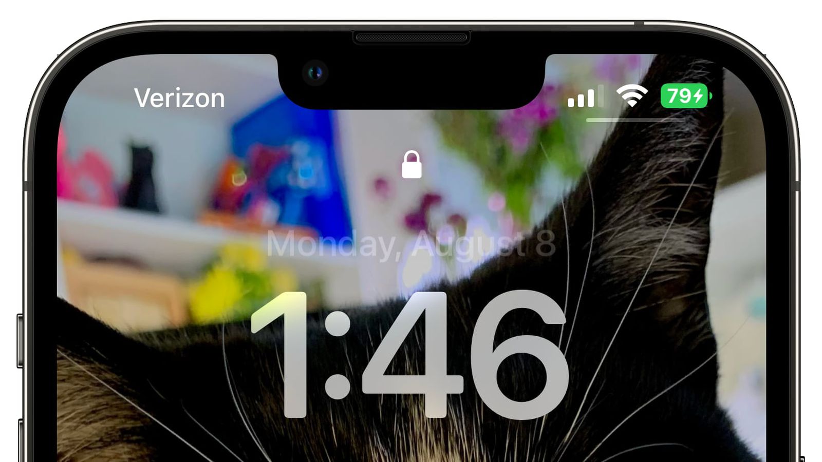 福绵苹果手机维修分享iOS 16 beta 5 支持状态栏显示电池百分比，如何开启？支持哪些机型 