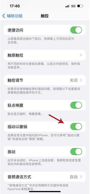 福绵苹果手机维修分享iPhone手机如何设置摇一摇删除文字 