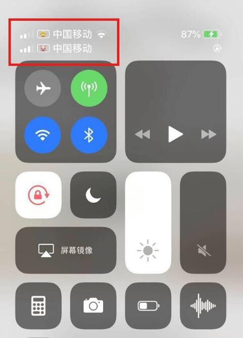 福绵苹果手机维修分享为 iPhone 12 双卡设置标签 