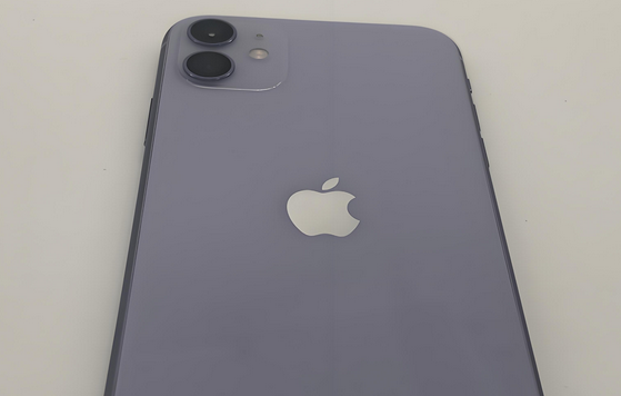 福绵苹果11系统维修分享iPhone11手机系统崩溃无法开机如何解决